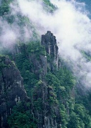 绿树山水 128