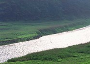 绿树山水 221