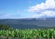 绿树山水 269