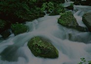 瀑布水域 485