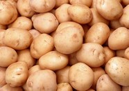 时鲜蔬果 285
