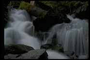 海洋湖泊 119