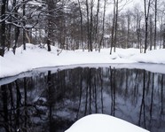 日本雪景风光图片