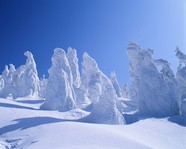 美丽风景图片下载