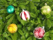 圣诞树素材图片下载