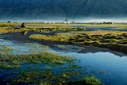 草地风景图片下载