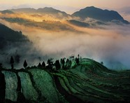 山上梯田风景图片下载