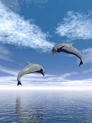 高清蓝天海豚图片下载