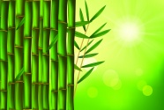 绿色竹林背景图片下载