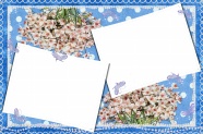 蓝色花纹鲜花相框图片