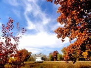 郊外秋天风景图片