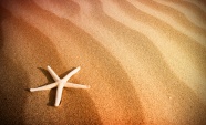 沙子海星背景图片