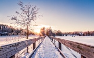 冬天雪景图片下载