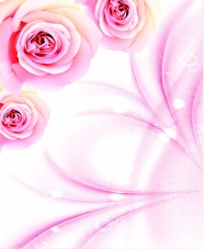 粉色花朵电视背景墙图片