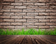 草丛木地板砖墙背景图片
