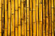 排列整齐的竹杆背景图片