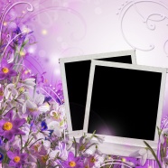 紫色花卉镶边黑色相框图片