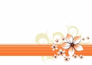 橙色花卉背景图片