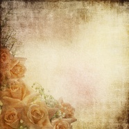 复古怀旧玫瑰花背景图片