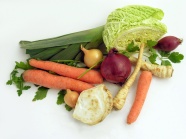 胡萝卜大白菜等蔬菜图片