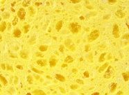 黄色食物背景图片