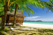 海边小屋椰子树图片