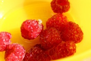 山莓图片