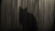 猫影子木纹背景图片