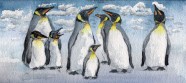 企鹅水彩画图片