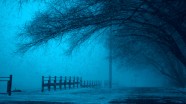 夜晚下雪的图片