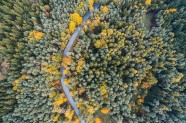 航拍森林公路图片