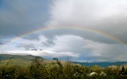 乡村雨后彩虹图片