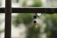 二十四节气雨水图片