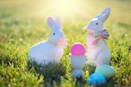 复活节白瓷兔子图片