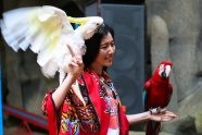 旅游摆拍日本美女图片