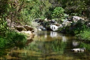  山涧溪水图片