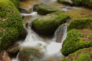 林间泉水风景图片