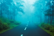 浓雾中公路图片