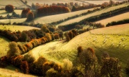 秋天的农场图片