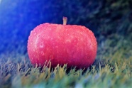 非主流红苹果图片