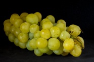 高清葡萄素材图片