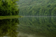 丛林里的湖泊风景图片