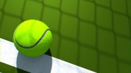 绿色网球图片