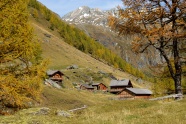 阿尔姆高山木屋风景图片