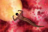 精子卵细胞创意图片