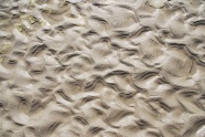 沙滩底纹背景图片素材