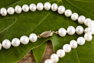 白色珍珠项链饰品图片
