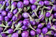 紫色茄子摄影图片