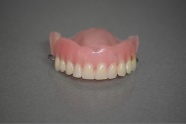 真实牙齿模型图片