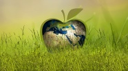 世界环境日活动展板图片